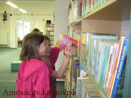 knihovna (13)